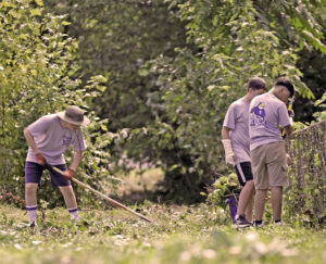 Volunteers clear brush near fence